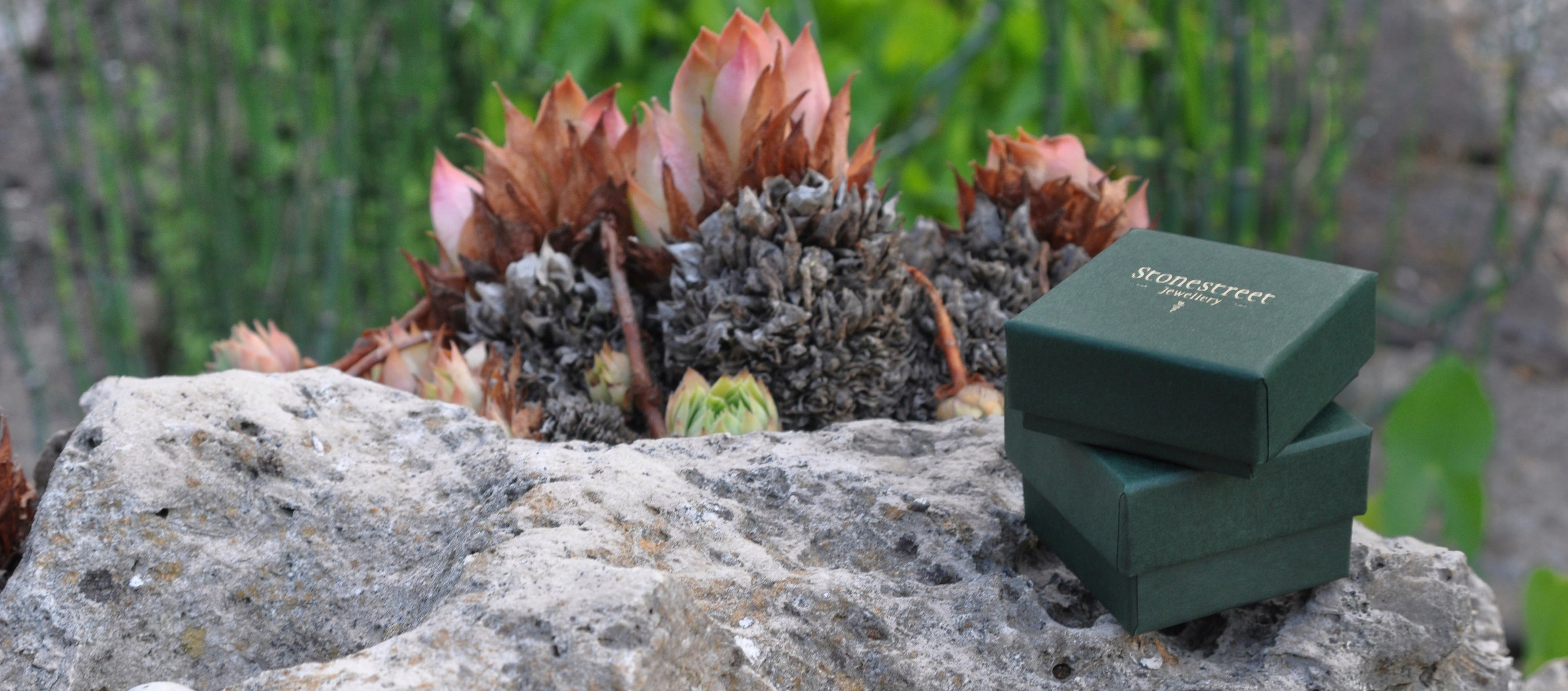 luxe sieradendoosje in natuurlijke omgeving