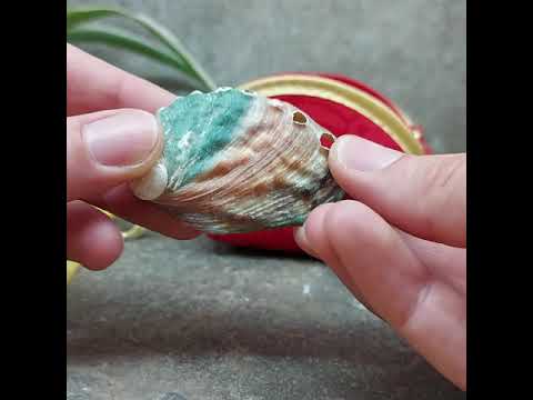 filmpje met rood satijnen opbergtasje en paua schelp met bergkristal en hematiet om edelstenen te reinigen en opladen 