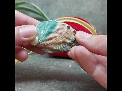 filmpje met rood satijnen opbergtasje en paua schelp met bergkristal en hematiet om edelstenen te reinigen en opladen 