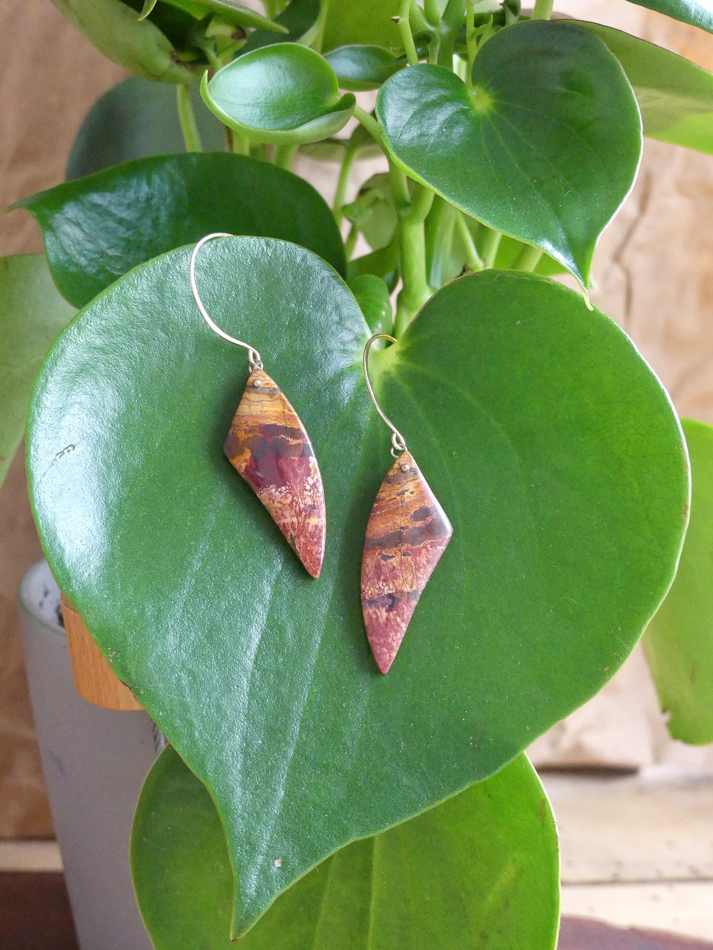 Eared butterflies - Jasper